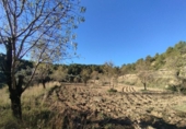 Xalet independent amb terreny en venda a la España, Calaceit, ref.: TR398871 foto