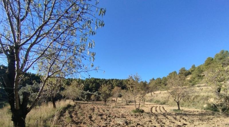 Teruel - La Fresneda - 12m2