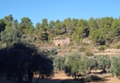 Xalet independent amb terreny en venda a la España, Calaceit, ref.: TR398871 foto