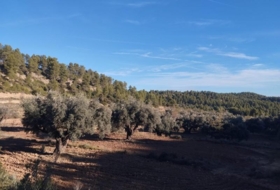 Calaceit 12&nbsp;m² 