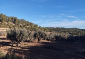 Xalet independent amb terreny en venda a la España, Calaceit, ref.: TR398871 foto
