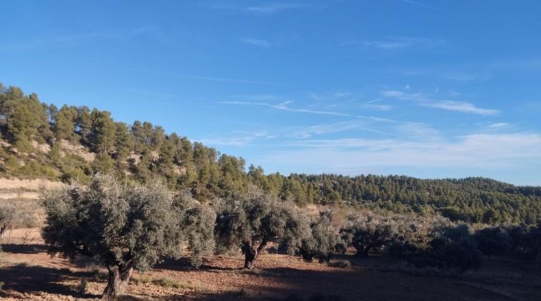 Teruel - La Fresneda - 12m2