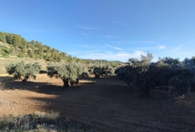 Calaceit 12&nbsp;m² 