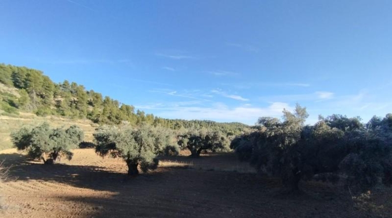 Teruel - La Fresneda - 12m2