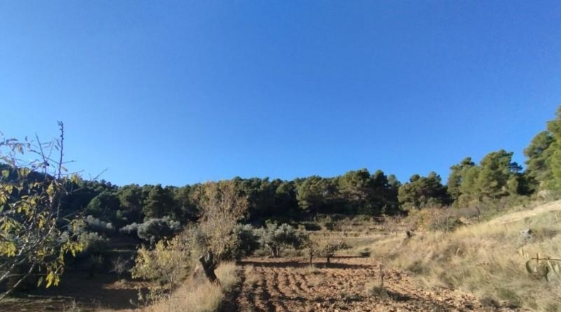 Teruel - La Fresneda - 12m2
