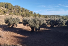 Calaceit 12&nbsp;m² 