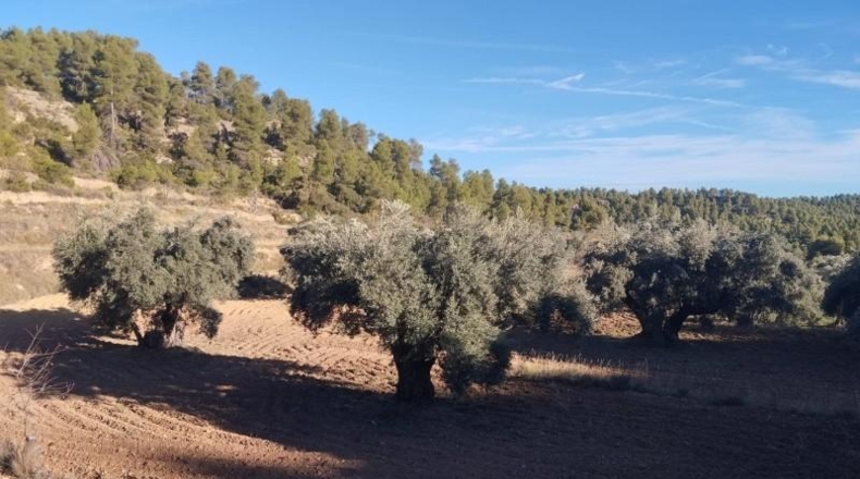 Teruel - La Fresneda - 12m2
