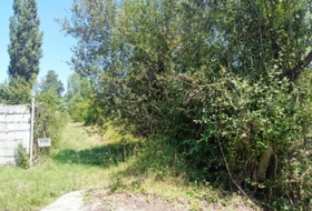 Понферрада 2500&nbsp;м²