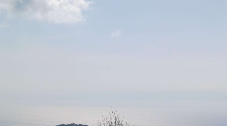 Malaga - Rincón de la Victoria - 800m2
