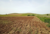 Non-developable land for sale in Poblete ref: TR406918 photo