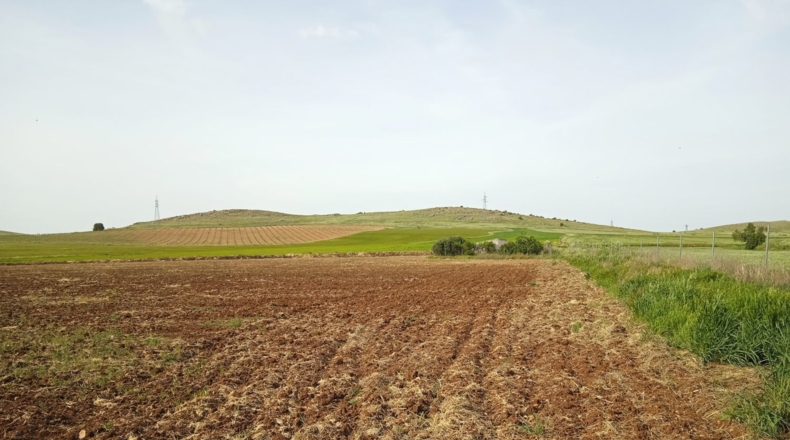 Ciudad Real - Poblete - 11245m2