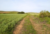 Non-developable land for sale in Poblete ref: TR406918 photo