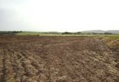 Non-developable land for sale in Poblete ref: TR406918 photo
