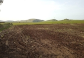 Non-developable land for sale in Poblete ref: TR406918 photo