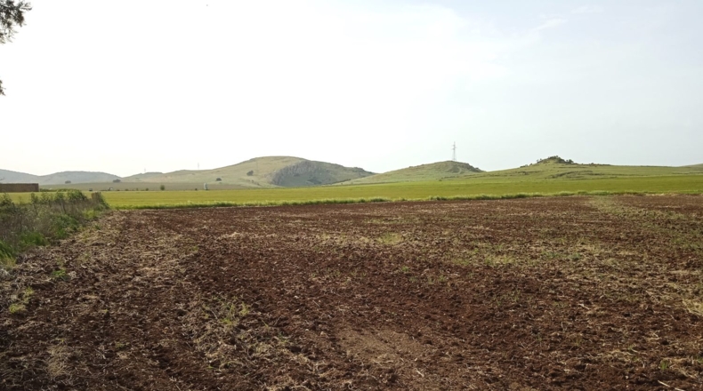 Ciudad Real - Poblete - 11245m2