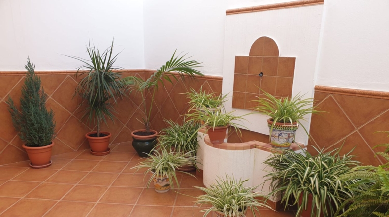 Sevilla - Utrera - 3000m2