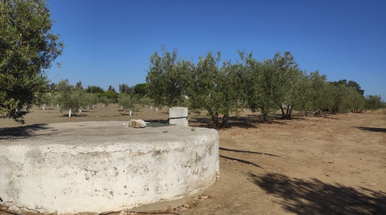 Seville - Morón de la Frontera - 11700m2