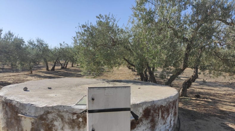Seville - Morón de la Frontera - 11700m2