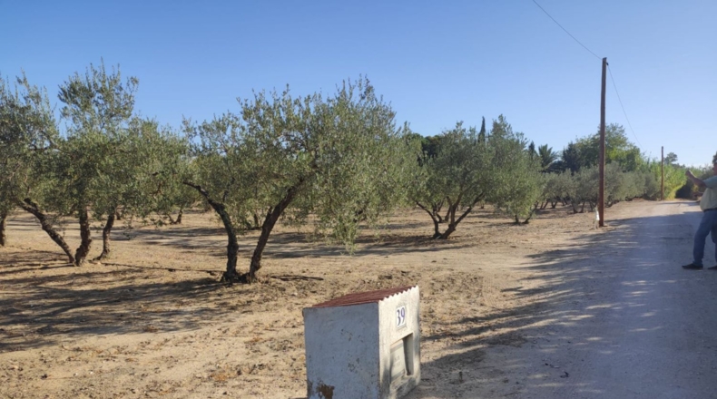Seville - Morón de la Frontera - 11700m2