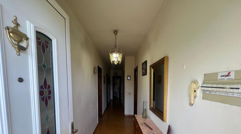Lugo - Lugo - 14800m2