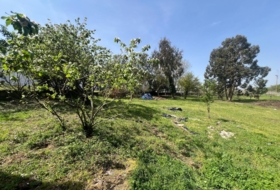 Lugo 14800&nbsp;m²