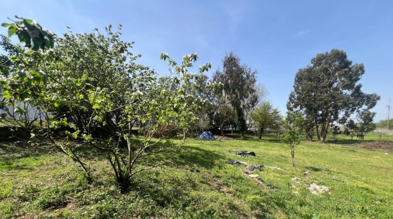 Lugo - Lugo - 14800m2