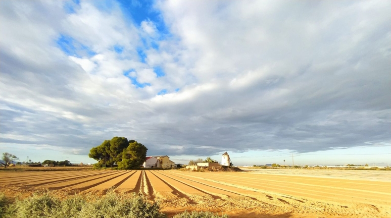 Murcia - Cartagena - 230m2