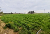 Finca rústica en venta en l'Aldea ref: TR406913 foto
