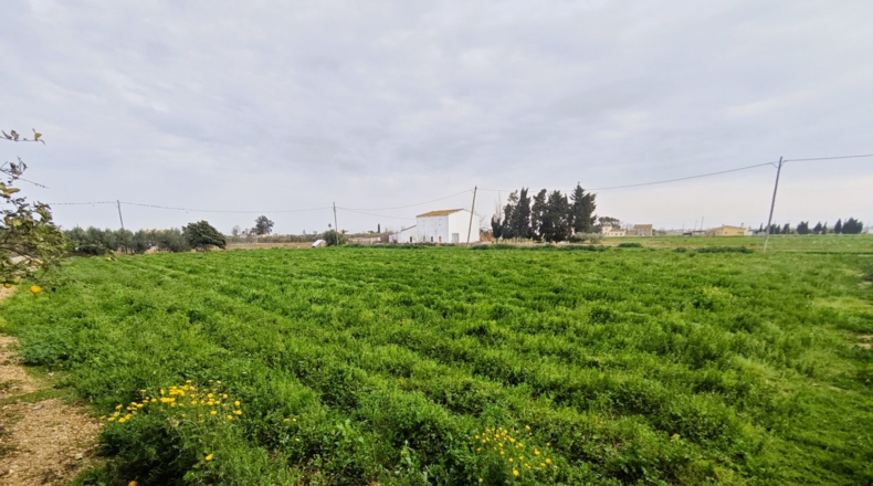 Таррагона - l'Aldea - 7494m2