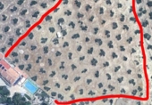 Non-developable land for sale in Jaén ref: TR406917 photo