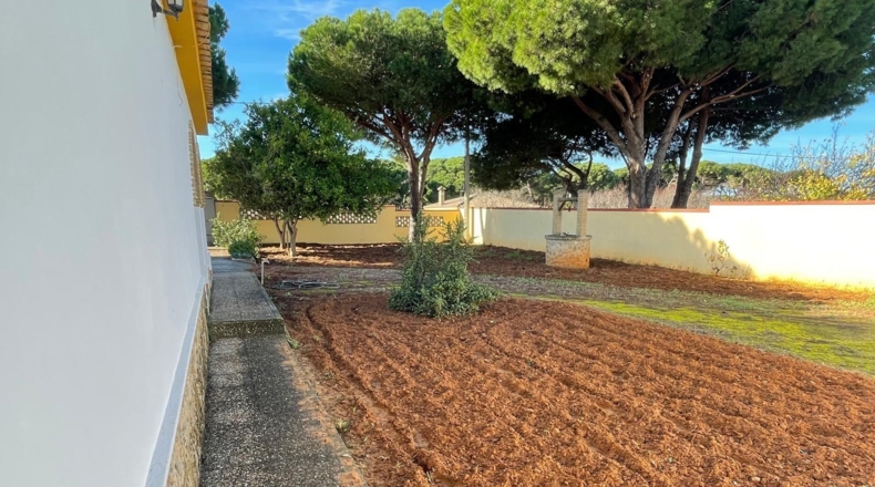 Cádiz - Чиклана-де-ла-Фронтера - 1200m2