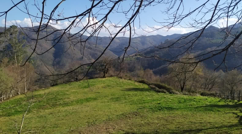 Asturias - La Casona - 3000m2