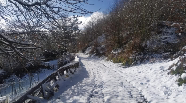 Asturias - La Casona - 3000m2