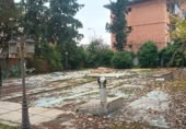 Urban land for sale on Calle Narcisos, Madrid, ref: TR406962 photo