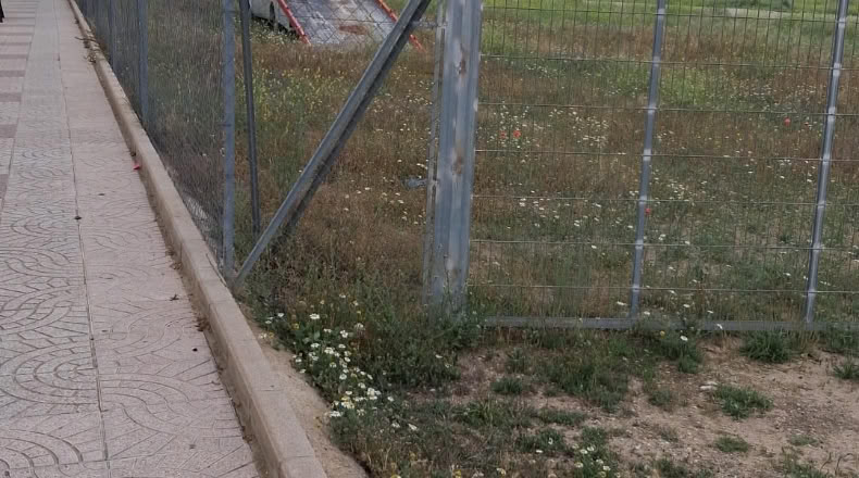 Murcia - Jumilla - 2520m2