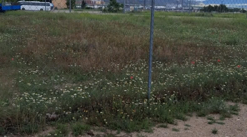 Murcia - Jumilla - 2520m2