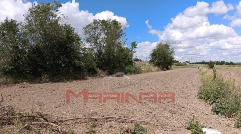 Toledo - Seseña - 3725m2