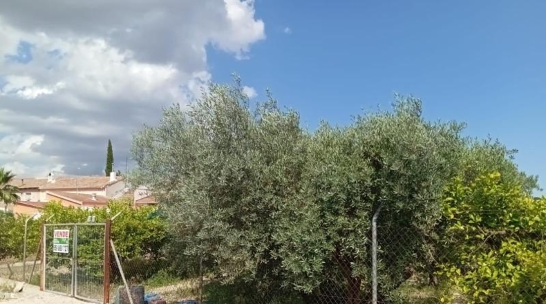 Murcia - Las Torres de Cotillas - 1000m2