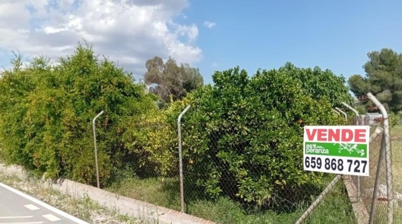 Murcia - Las Torres de Cotillas - 1000m2