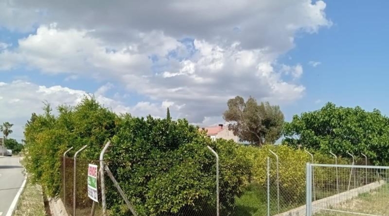 Murcia - Las Torres de Cotillas - 1000m2