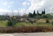 Sòl urbà en venda a la España, Las Torres de Cotillas, ref.: TR406974 foto