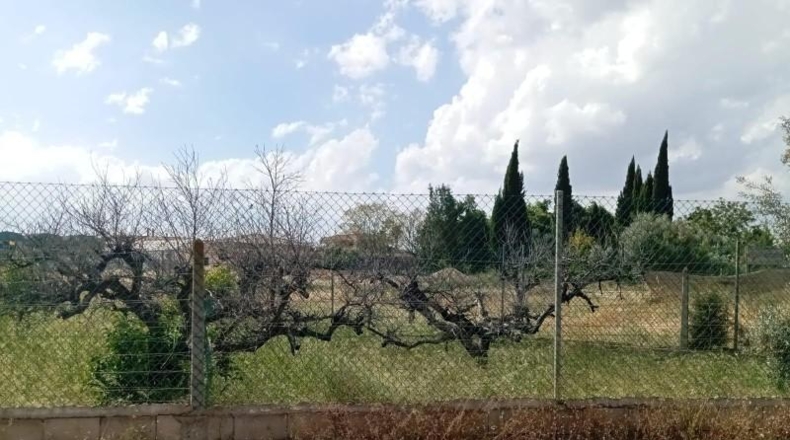Murcia - Las Torres de Cotillas - 1000m2