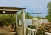 Country house with land for sale on España, l'Ampolla, ref: TR318902 photo