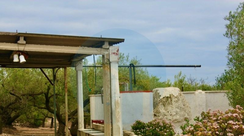 Tarragona - l'Ampolla - 8712m2