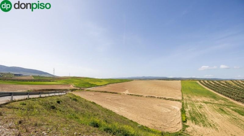 Granada - Villa de Otura - 58495m2