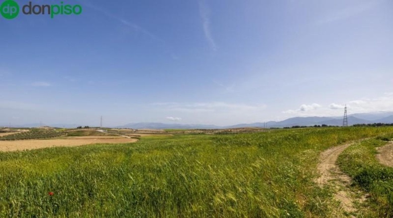 Granada - Villa de Otura - 58495m2