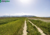 Non-developable land for sale on España, Villa de Otura, ref: TR406975 photo