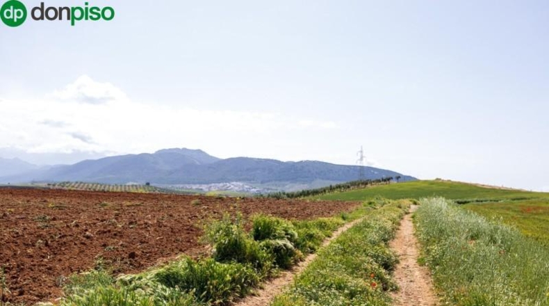 Granada - Villa de Otura - 58495m2