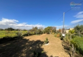 Country house with land for sale on España, Cartagena, ref: TR384680 photo