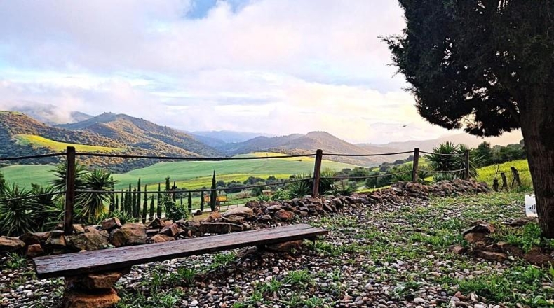 Málaga - Almogía - 5200m2